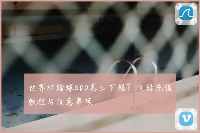 世界杯赌球app怎么下载？注册充值教程与注意事项