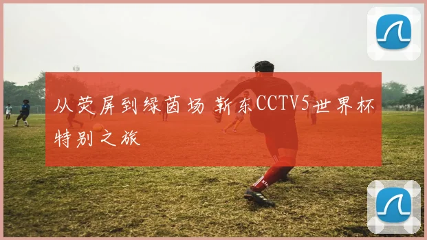 从荧屏到绿茵场 靳东CCTV5世界杯特别之旅