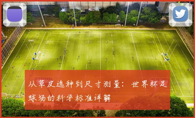 从草皮选种到尺寸测量：世界杯足球场的科学标准详解