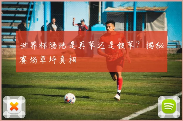 世界杯场地是真草还是假草？揭秘赛场草坪真相