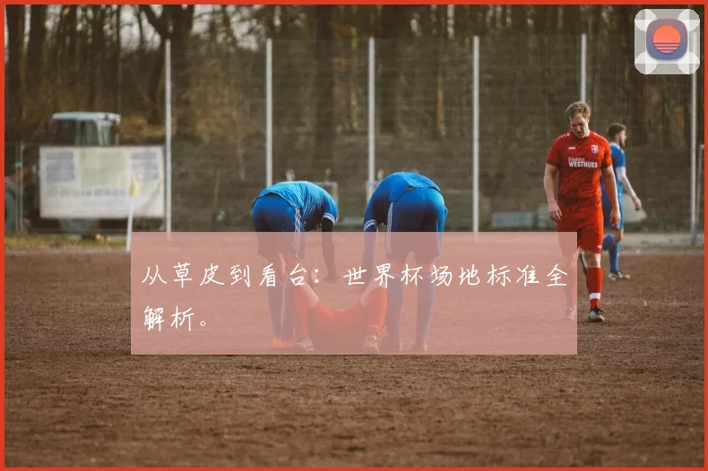 从草皮到看台：世界杯场地标准全解析。