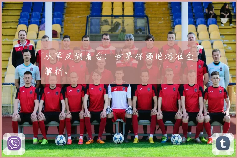 从草皮到看台：世界杯场地标准全解析。