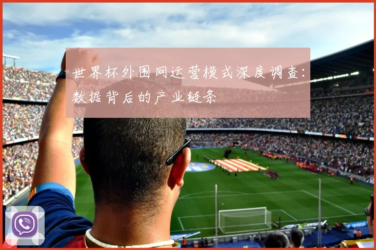 世界杯外围网运营模式深度调查：数据背后的产业链条