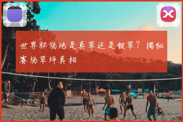 世界杯场地是真草还是假草？揭秘赛场草坪真相