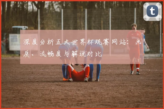 深度分析五大世界杯观赛网站:画质、流畅度与解说对比