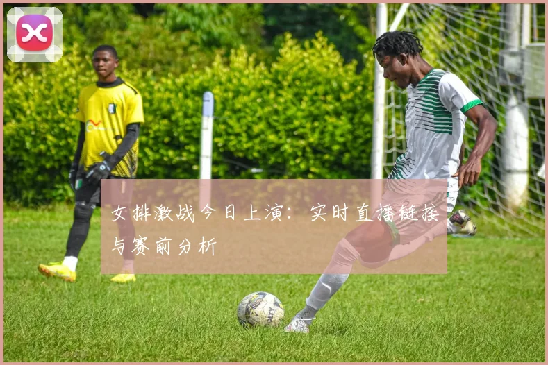 女排激战今日上演：实时直播链接与赛前分析