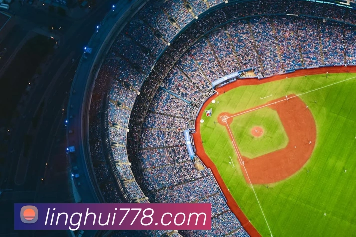 星空体育app平台生态图